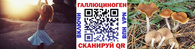 купить наркоту  Лянтор  Псилоцибиновые грибы ЛСД 